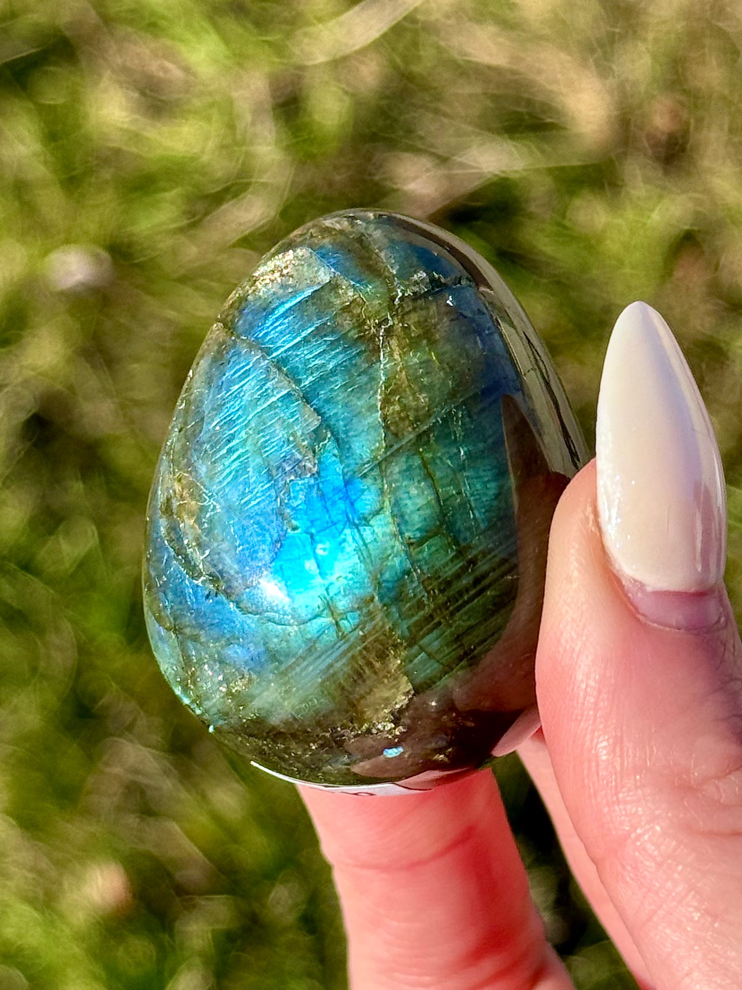 Labradorite Eggs - You Choose