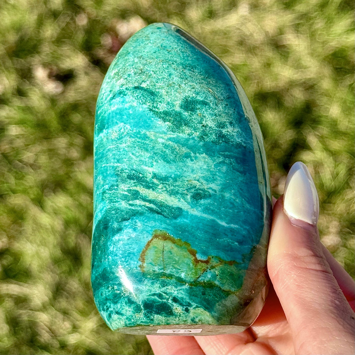 Sea Jasper Freeform