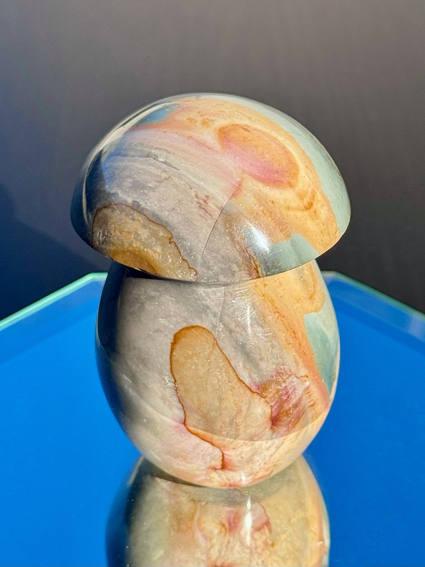 Polychrome Jasper Mushrooms - You Choose