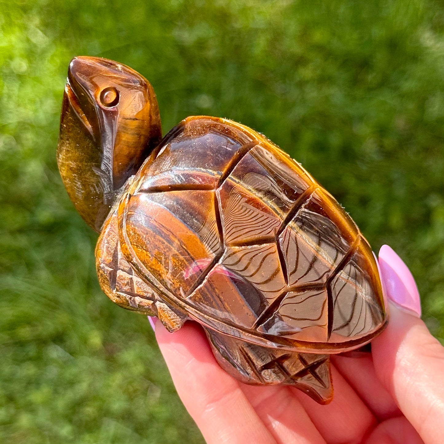 Tiger's Eye Turtle Carving