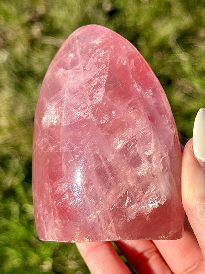 Gemy Rose Quartz Freeforms - You Choose