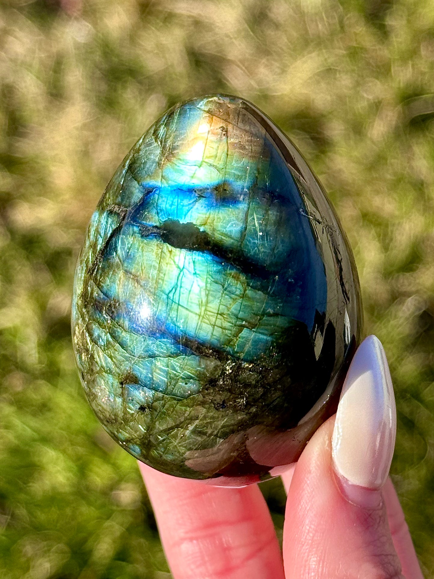 Labradorite Eggs - You Choose