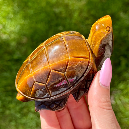 Tiger's Eye Turtle Carving