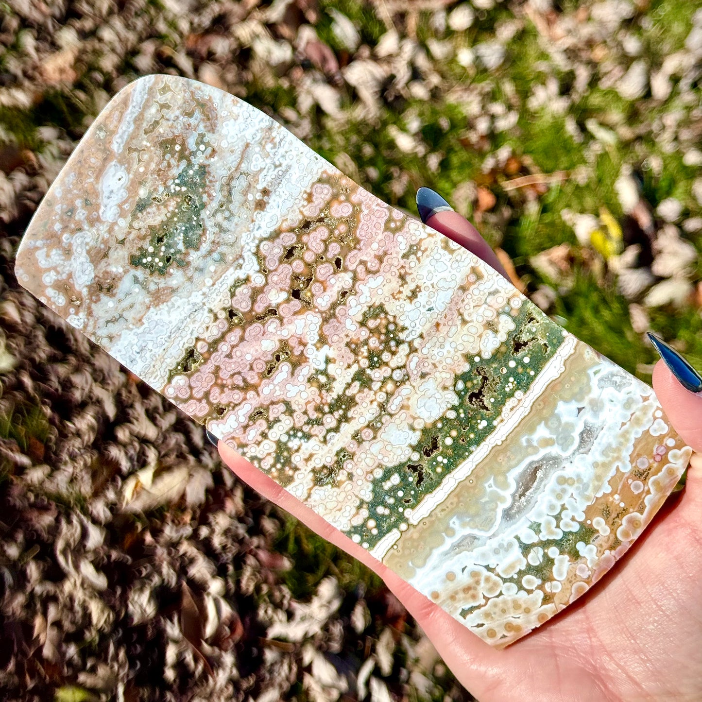 Large Orbicular Sea Jasper Slab