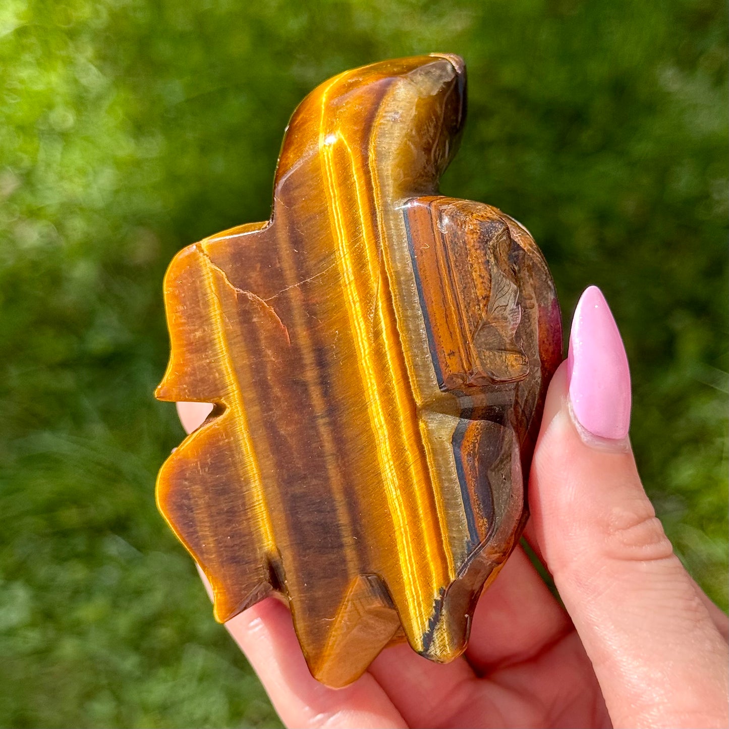 Tiger's Eye Turtle Carving