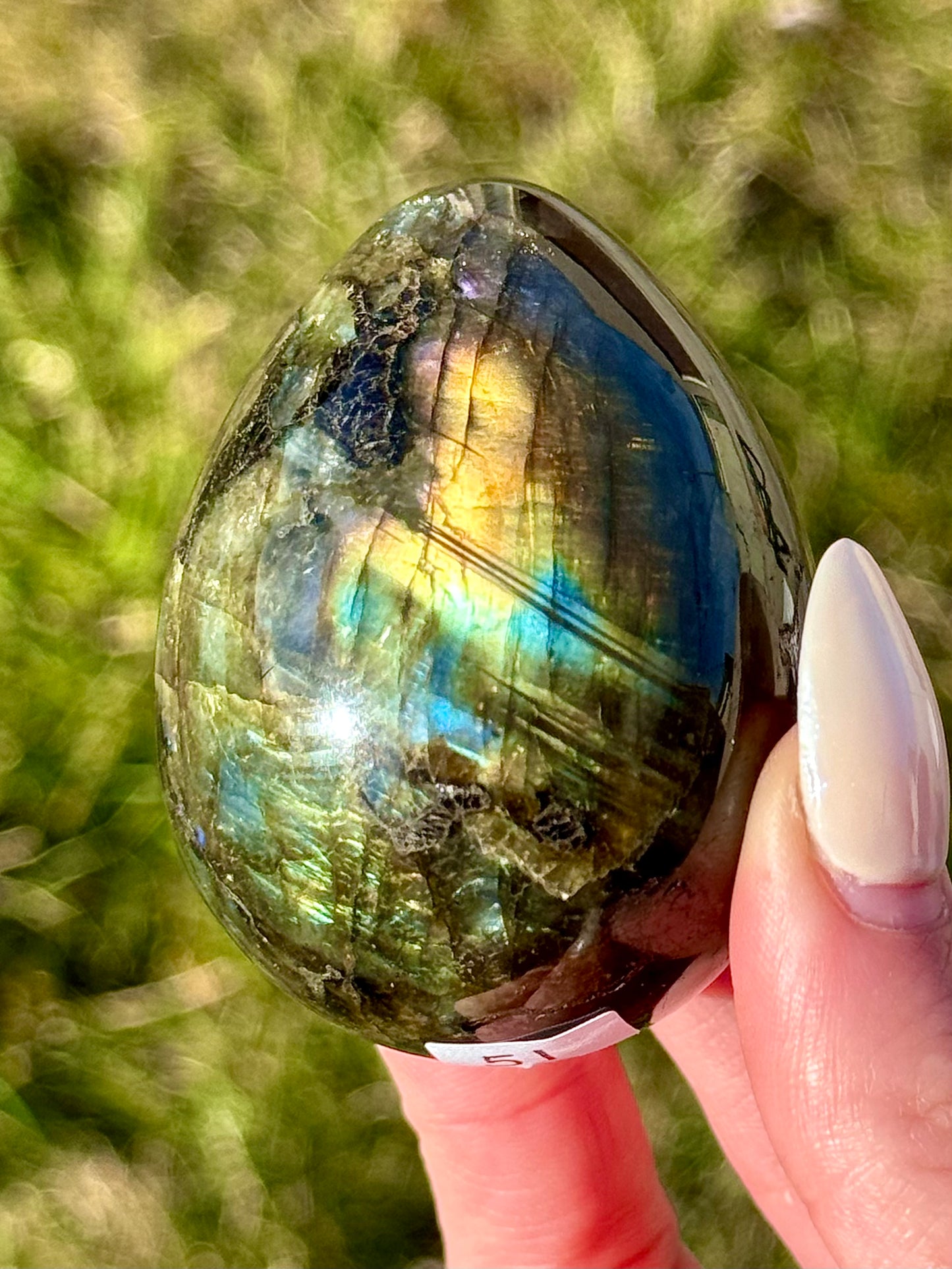 Labradorite Eggs - You Choose