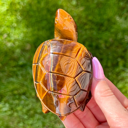 Tiger's Eye Turtle Carving