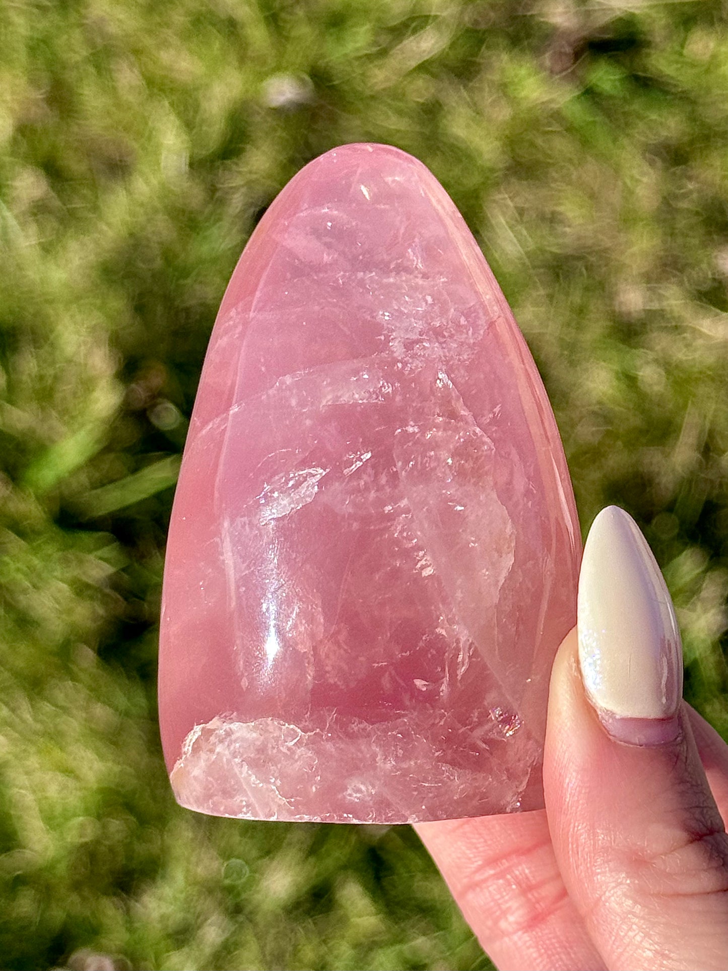 Gemy Rose Quartz Freeforms - You Choose