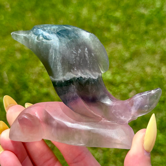 Large Fluorite Dolphin Carving