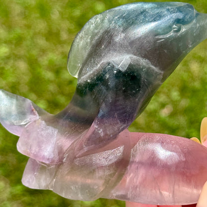 Large Fluorite Dolphin Carving