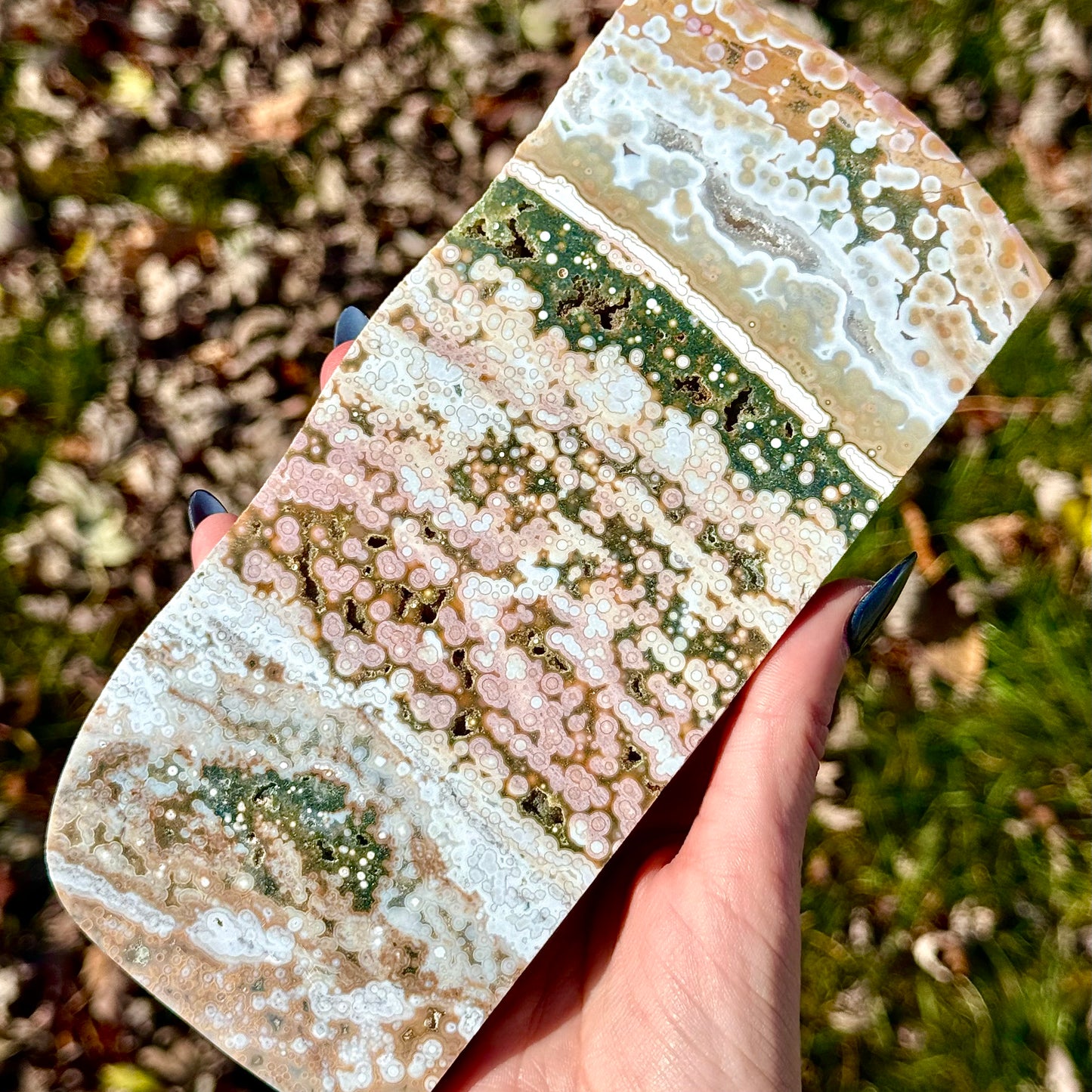 Large Orbicular Sea Jasper Slab