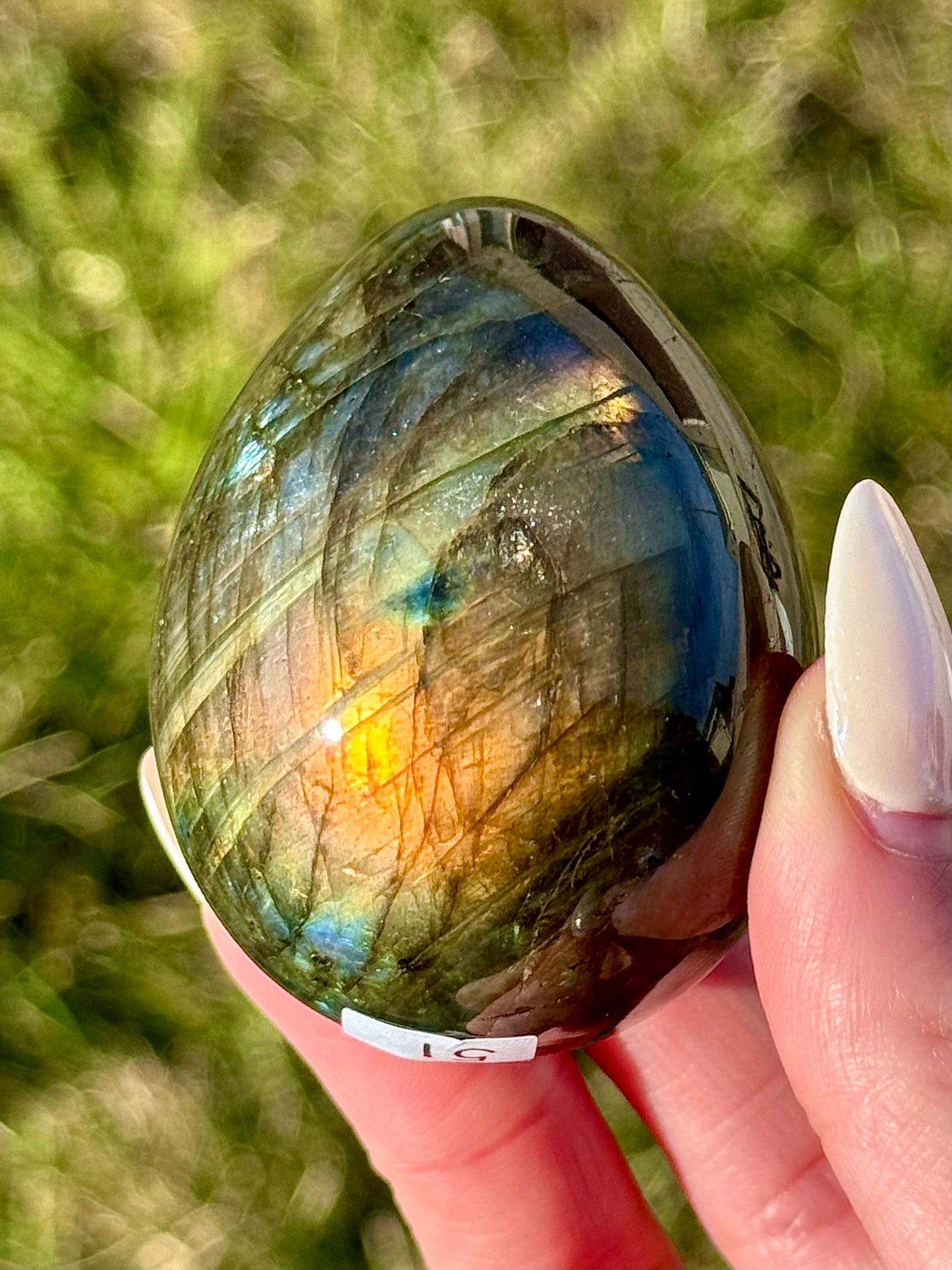 Labradorite Eggs - You Choose