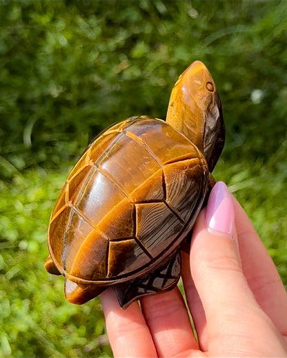 Tiger's Eye Turtle Carving